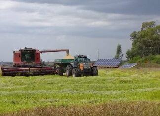 Arranca la capacitación sobre interacciones económicas entre sectores productivos