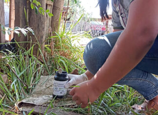 La prevención y abordaje del dengue demanda un exhaustivo trabajo territorial