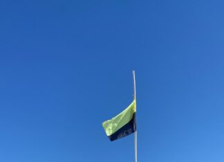 Detectaron verdín en algunos sectores del río Uruguay