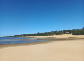 Se conoció el último reporte sobre la calidad del agua en las playas