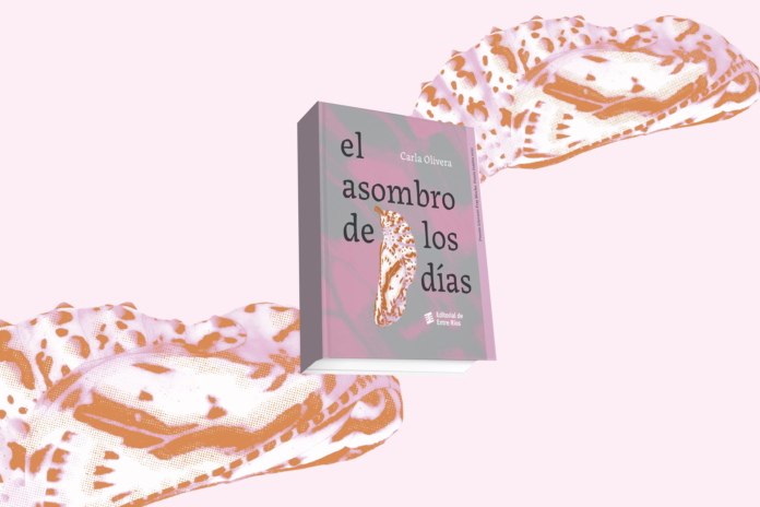 esp - culttura - premio fray mocho1