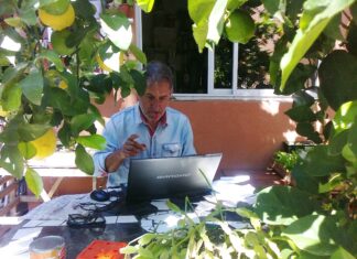 Publicaciones: Gabriel Buffa escribió sobre los árboles de Concepción del Uruguay