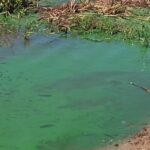 uner – investigación sobre verdín1