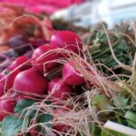 Feria en tu barrio 3