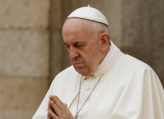 Francisco: Un Legado de Paz y Unidad