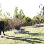 obras en La Salamanca (1)