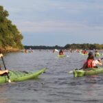 Kayak 2 (2)