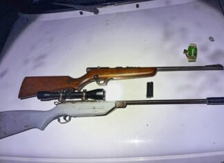 Se incautaron 554 armas de fuego en lo que va de 2025