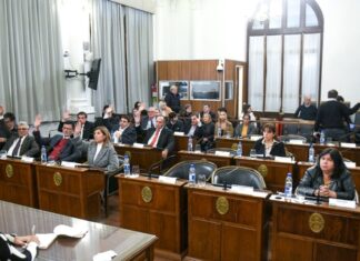 El Senado dio media sanción a la creación de la Obra Social de Entre Ríos (OSER)