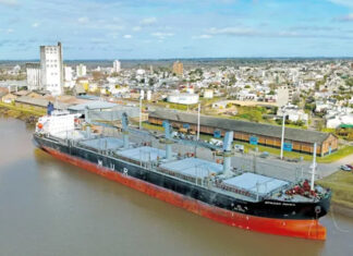 Exportaciones en marcha: Concepción del Uruguay fortalece su vínculo comercial con Asia