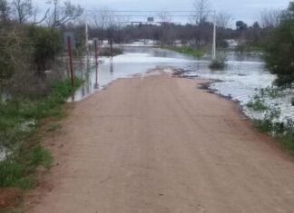 El río Uruguay se acerca al nivel de evacuación y el Municipio refuerza la asistencia en zonas críticas