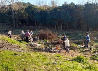 Operativo de limpieza en el barrio 134 Viviendas