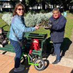 Poda de rosas Plaza Ramírez 1