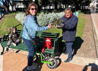 Podaron los rosales de Plaza Ramírez y regalaron ramos a los vecinos