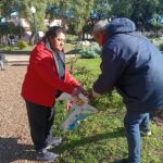 Poda de rosas Plaza Ramírez 3