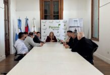 Paraná volverá a ser sede del Seven de Rugby