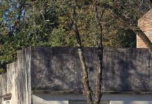 Imputan a un hombre por el homicidio de un vecino en Basavilbaso