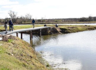 El domingo reinauguran el Parque de la Ciudad con música y espectáculos