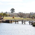 parque de la ciudad (2)