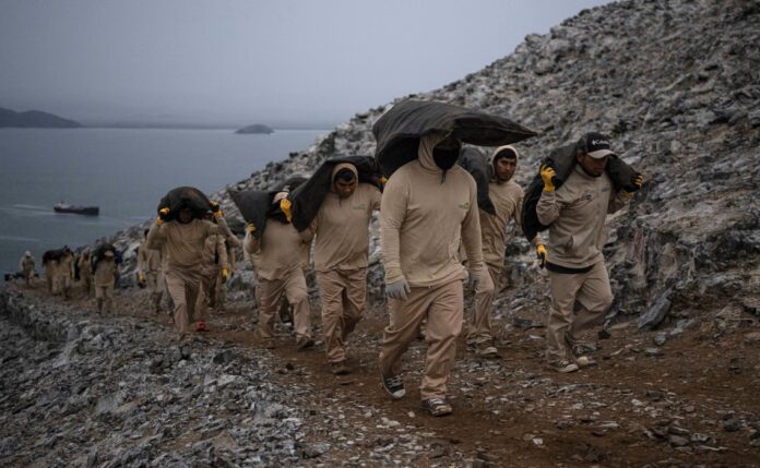 Guano Perú
