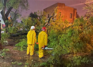 Temporal en Concordia tras la tormenta: 14 familias asistidas y cortes de energía