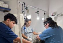 Sanidad Animal. Continúan las atenciones en el Club Engranaje y en el Centro Antirrábico