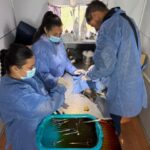 Zoonosis 2