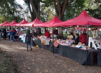 Festival “Movimiento Emprendedor”: una jornada para celebrar el talento local