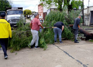 El Municipio desplegó un operativo de emergencia para asistir a familias afectadas