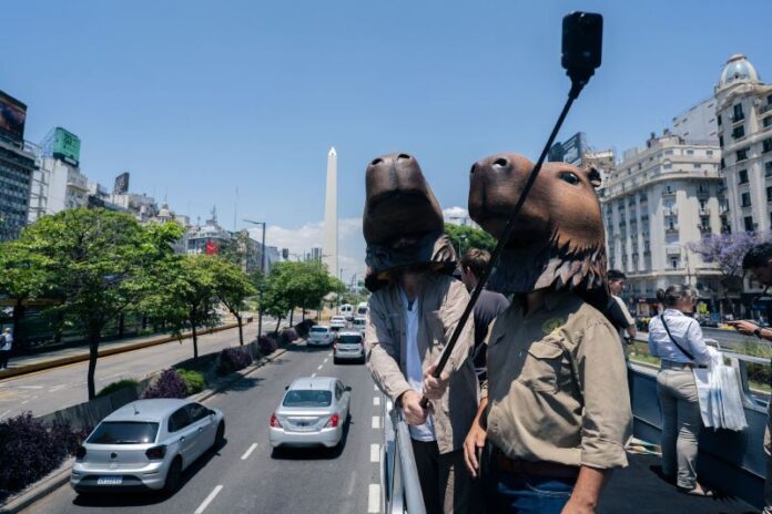 2025_11_28-turismo-carpincho_en_buenos_aires (3)