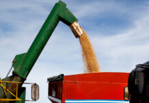 Caída histórica en recaudación de retenciones tras eliminación temporal a la soja