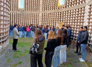 Conectando Saberes: más de 530 instituciones educativas trabajan en el trayecto de socialización del curso