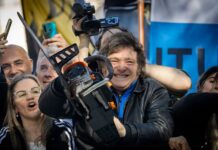 INFORME OCDE. La “liberación” de Milei debilitará a la industria