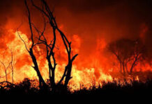 Rige a partir de diciembre. Prohíben las quemas en toda la provincia por el riesgo de incendios