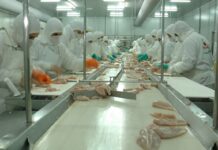 Crisis Avícola. Tres Arroyos cerraría una planta en La Histórica