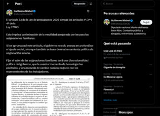 Michel alertó que el Presupuesto 2026 elimina la movilidad de las asignaciones familiares
