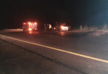 Dos vehículos chocaron con un caballo en la Autovía 14 a la altura de Ceibas