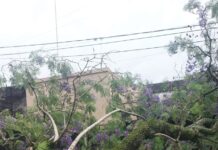 Tormenta en Concepción del Uruguay causa destrozos materiales y cortes de servicios