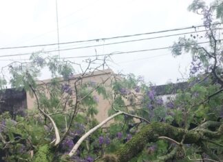 Tormenta en Concepción del Uruguay causa destrozos materiales y cortes de servicios