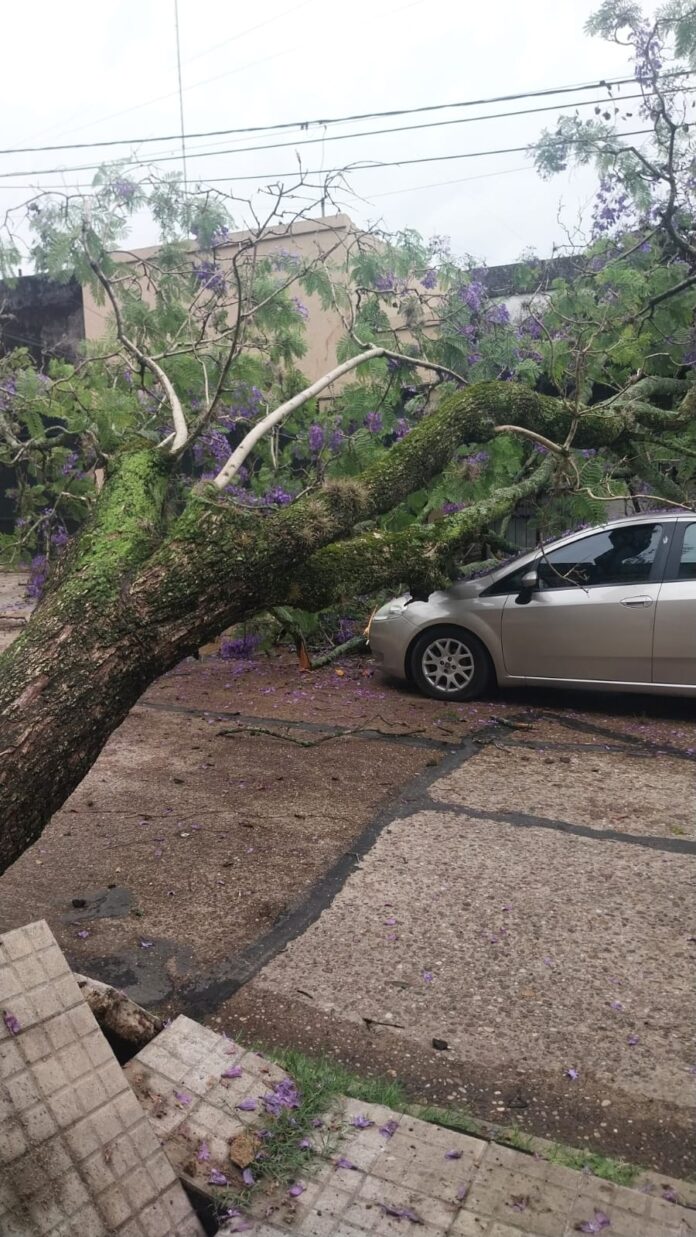 WhatsApp Image 2025-11-16 at 11.43.21