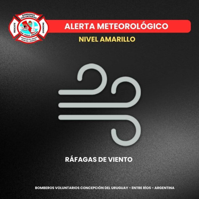 WhatsApp Image 2025-11-20 at 19.18.19