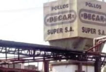 CdelU: A partir del lunes próximo cerrará el frigorífico Becar