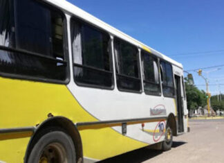 Ya está abierta la licitación para el nuevo servicio de transporte urbano