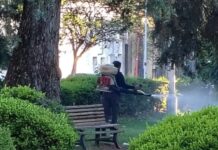 Continúa la campaña de descacharrización y control del dengue en la ciudad