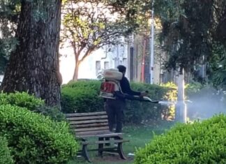 Continúa la campaña de descacharrización y control del dengue en la ciudad
