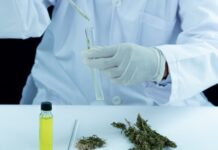 Una jornada para aprender, debatir y derribar prejuicios sobre el cannabis medicinal