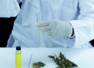 Una jornada para aprender, debatir y derribar prejuicios sobre el cannabis medicinal