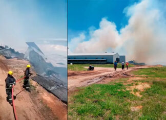 Incendio destruye galpón avícola en Federal por presunto desperfecto eléctrico
