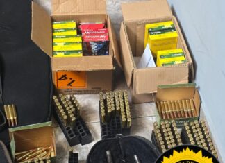 Allanamiento en barrio Itapé: secuestran cinco armas y municiones en una causa por violencia de género