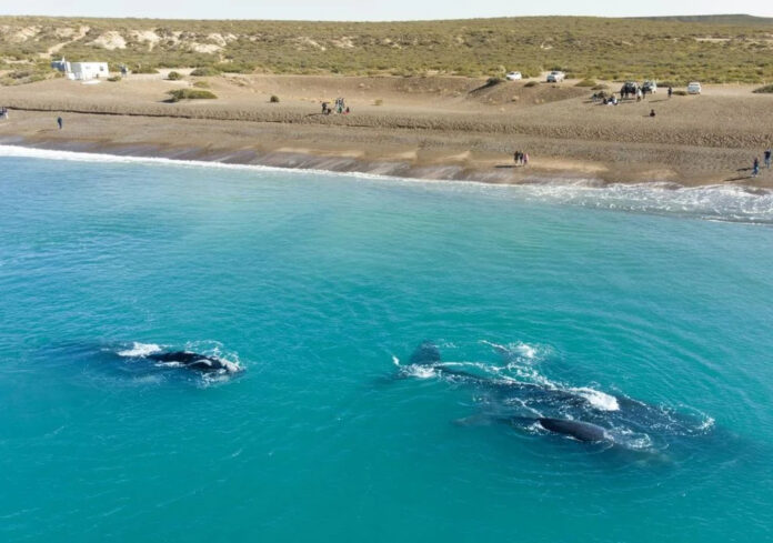 vacaciones-de-verano-2026-en-argentina-5-circuitos-paradisiacos-para-una-escapada-de-hasta-dos-semanas-1764104086727_1024_jpg